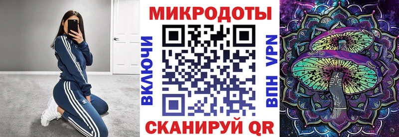 Галлюциногенные грибы прущие грибы  ОМГ ОМГ   Медынь 